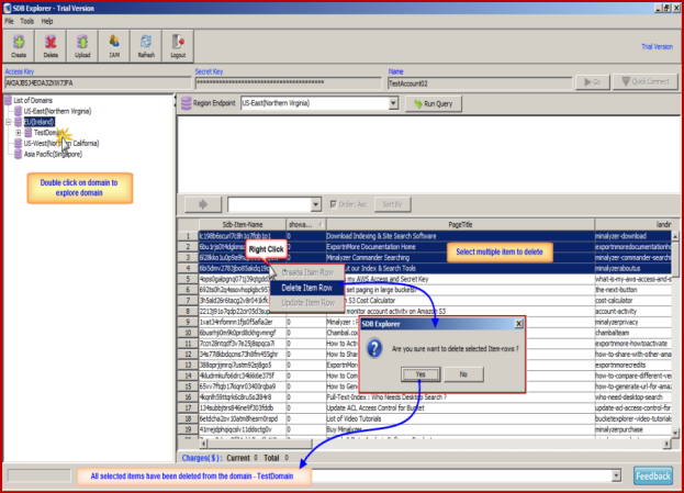 SimpleDB - Multiple deletion of Item-row. - ScreenShot