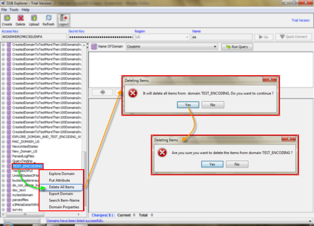 SimpleDB - Delete All Items of Selected SimpleDB Domain - ScreenShot